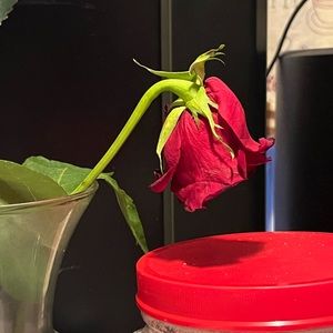 Meet your Posher, Na'kya